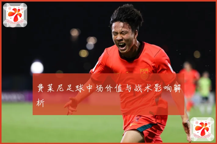 费莱尼足球中场价值与战术影响解析