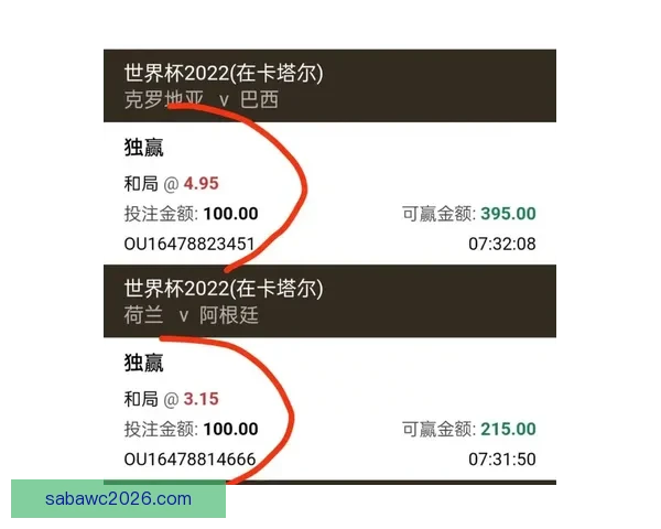 全球热门世界杯竞猜平台推荐与玩法攻略详解