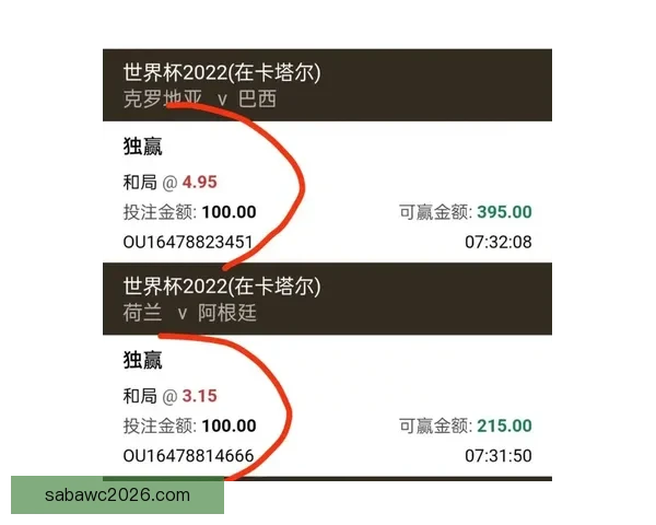 全球热门世界杯竞猜平台推荐及玩法解析指南